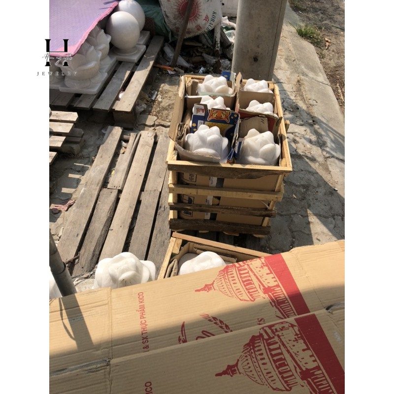 Cặp sen đá non nước 18x22 cm HANMYNGHE 2 Cặp sen đá  non nước 18x22 cm HANMYNGHE - Hình ảnh 2