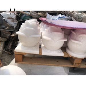 Cặp sen đá non nước 18x22 cm HANMYNGHE 10 images upload woo2F55e7f683bd12c7d48b5988f3adfc4df6