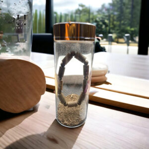 Vòng tay trầm hương banh rừng 8 mm HANMYNGHE 9 images upload woo2F5ced0d23bccbbf5afbb9d70af27d41ae