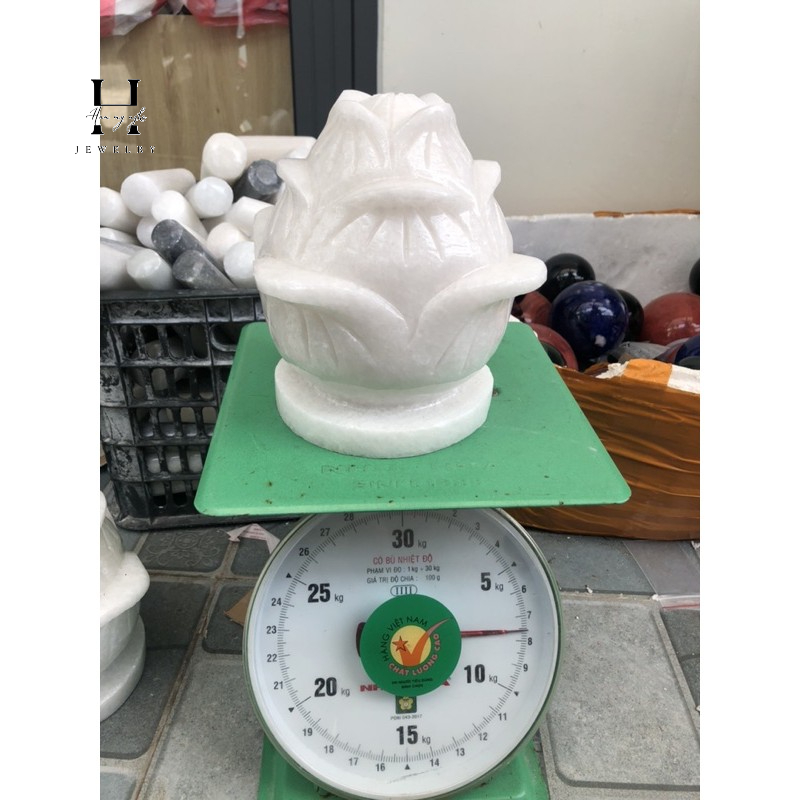 Cặp hoa sen đá non nước 16x20 cm HANMYNGHE 2 Cặp hoa sen đá non nước 16x20 cm HANMYNGHE - Hình ảnh 2