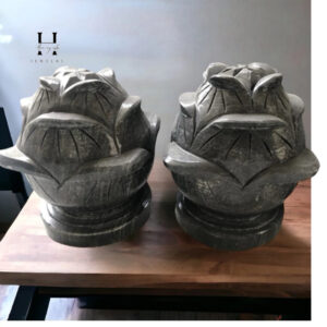 Cặp sen đá non nước 18x22 cm HANMYNGHE 13 images upload woo2F9cc75bdaf7925b22c8eed01a4404f0db