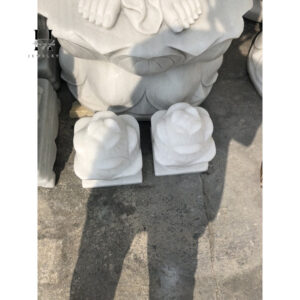 Cặp sen đá non nước 18x22 cm HANMYNGHE 11 images upload woo2Fdf39d56fcb55e1c13588b7331e383a7f