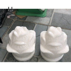 Cặp hoa sen đá non nước 16x20 cm HANMYNGHE 7 images upload woo2Fe1588c3598f18985562b66e842191876