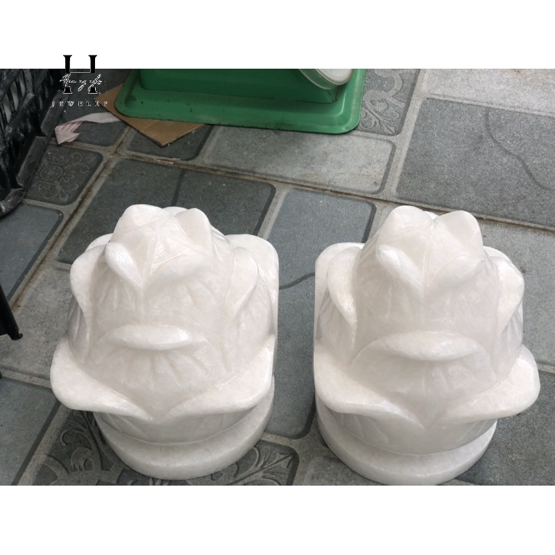 Cặp hoa sen đá non nước 16x20 cm HANMYNGHE 4 Cặp hoa sen đá non nước 16x20 cm HANMYNGHE - Hình ảnh 4