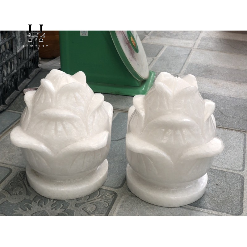 Cặp hoa sen đá non nước 16x20 cm HANMYNGHE 3 Cặp hoa sen đá non nước 16x20 cm HANMYNGHE - Hình ảnh 3