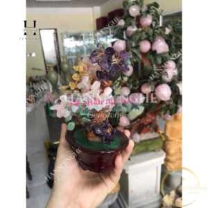 cây tài lộc ngũ sắc cao16cm