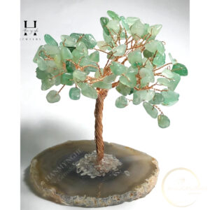 cây tài lộc đá vụn 10cm để bàn